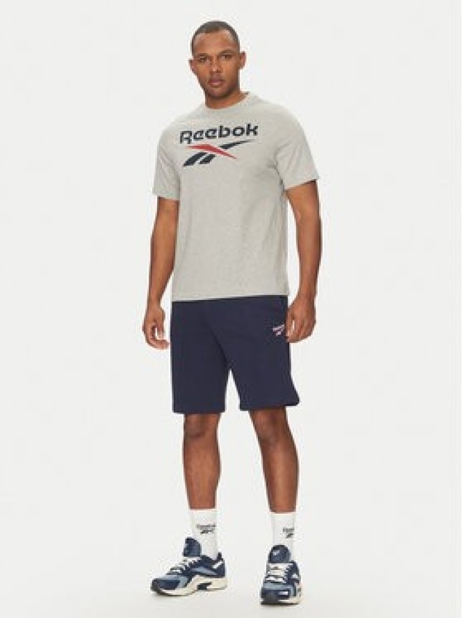 Reebok T-Shirt 100217137 Szary Regular Fit