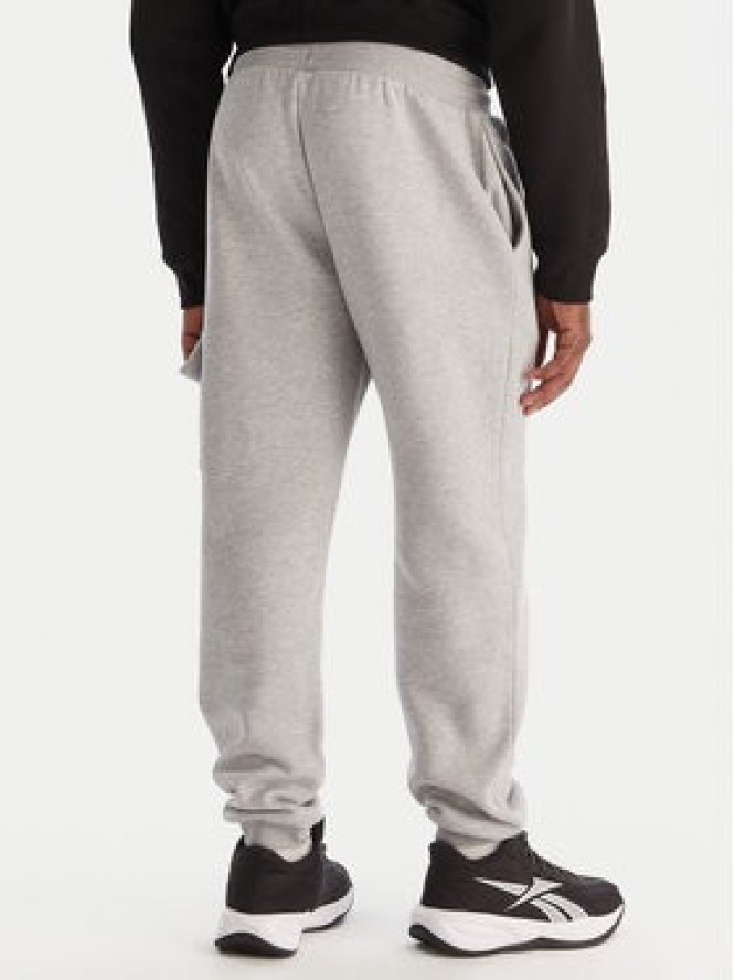 Reebok Spodnie dresowe Wada RK25147CCM Szary Regular Fit