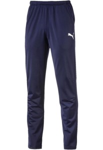 Spodnie męskie Puma Men Liga Pants Core