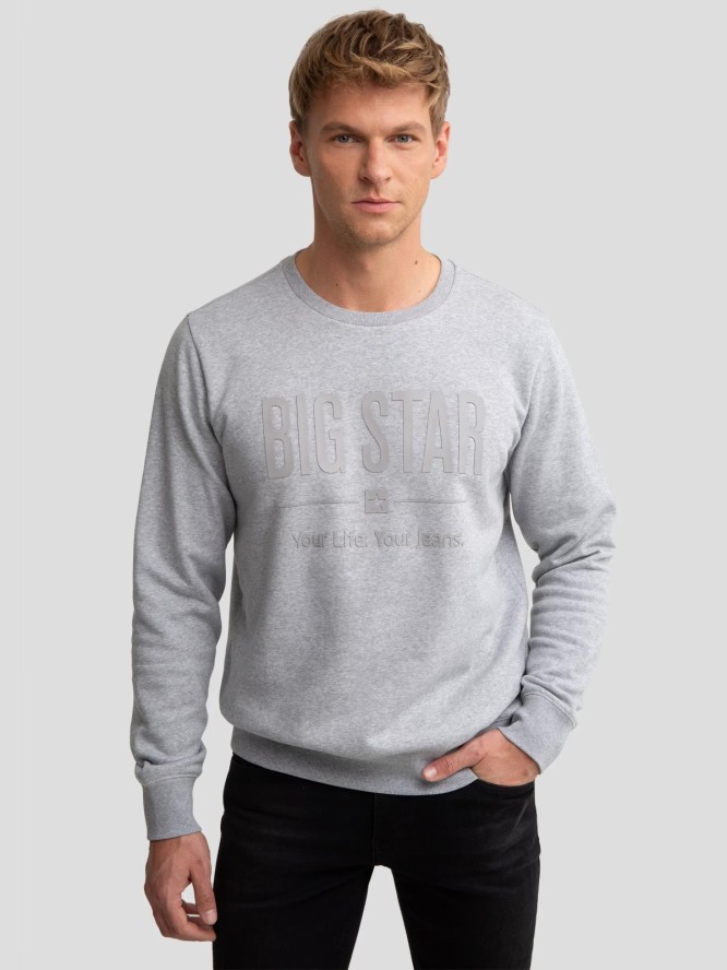 Bluza męska z nadrukiem szara Ecodort 902