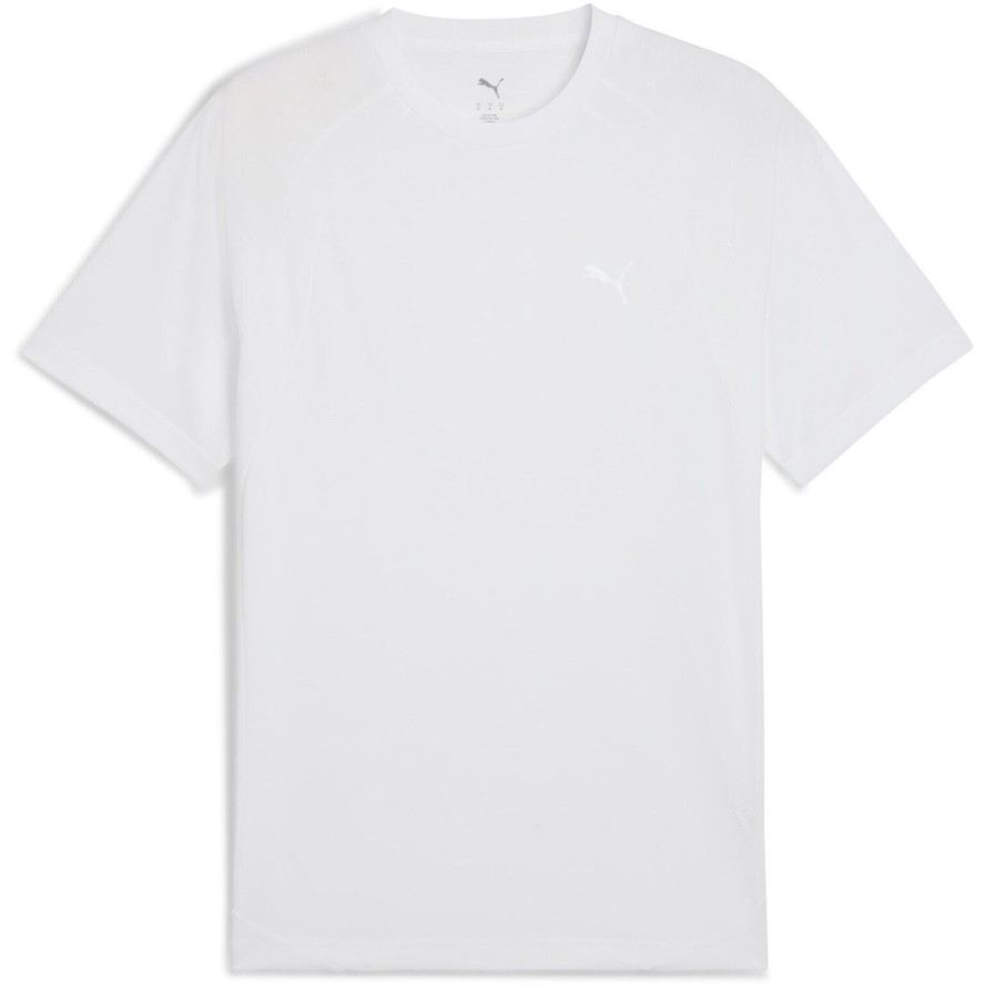 Koszulka męskie Puma Evostripe Tee