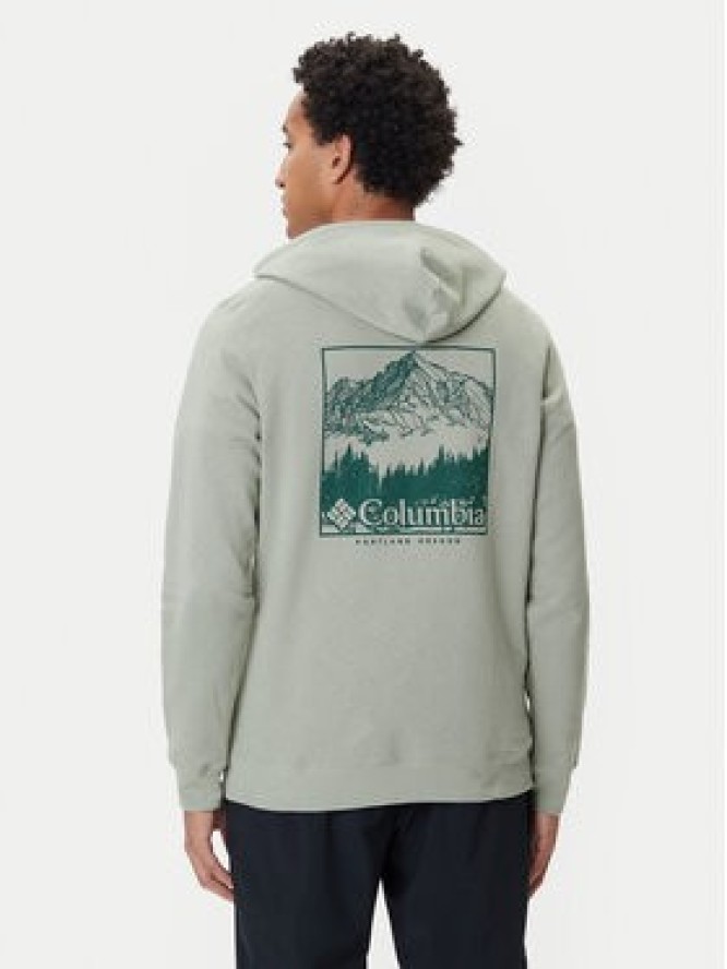 Columbia Bluza Trek™ 2018494 Zielony Regular Fit
