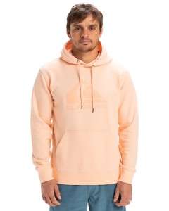 Bluza z kapturem COMP LOGO Różowy Mężczyźni