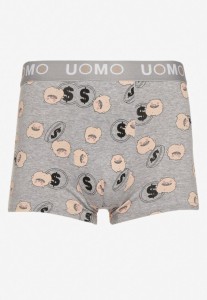 Jasnoszare Bawełniane Majtki Bokserki z Napisem i Szeroką Gumką Nelicia