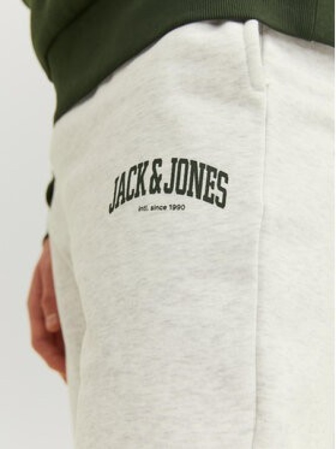 Jack & Jones Spodnie dresowe Kane 12236479 Szary Loose Fit