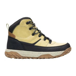 Męskie buty trekkingowe Renford