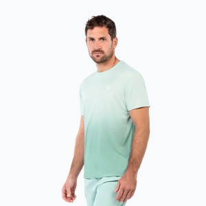 Męska koszulka tenisowa Tecnifibre T-Shirt X-Loop Tee