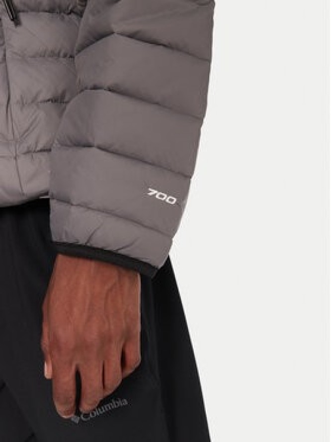 The North Face Kurtka puchowa Classic NF0A8D1T Szary Regular Fit