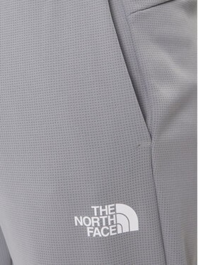 The North Face Spodnie dresowe Reaxion 2.0 NF0A8DRS Szary Regular Fit