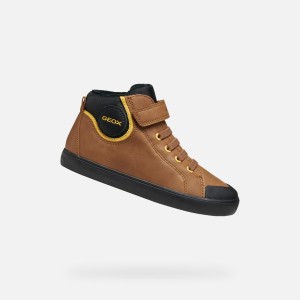 Buty GEOX J GISLI Brązowy