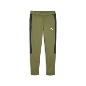 Spodnie Puma Evostripe Dk