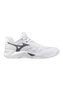 Buty halowe Mizuno Wave Momentum Pro