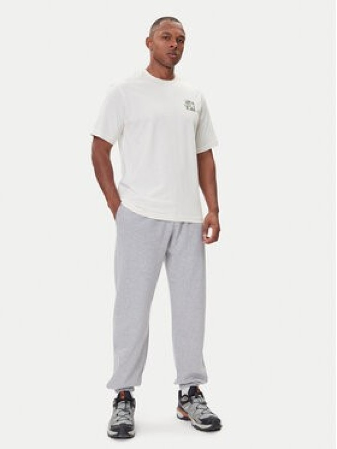 The North Face Spodnie dresowe Expedition Celebration NF0A8E3E Szary Relaxed Fit