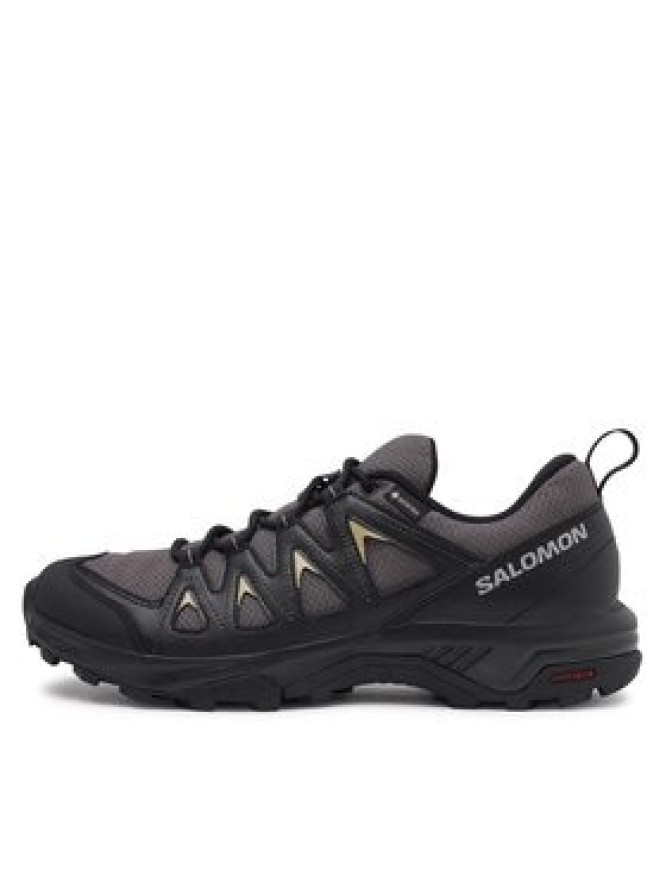 Salomon Trekkingi X Braze GORE-TEX L47180500 Szary