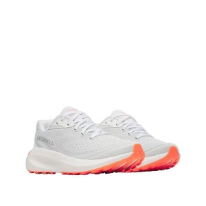Buty biegowe Merrell Morphlite Szare