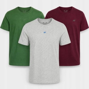 KOMPLET KOSZULEK MĘSKICH ZESTAW 4F T-SHIRT 3PAK