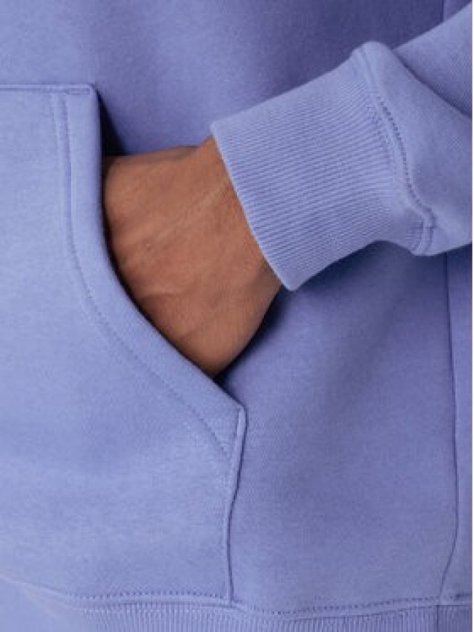 Tommy Jeans Bluza DM0DM20742 Niebieski Relaxed Fit