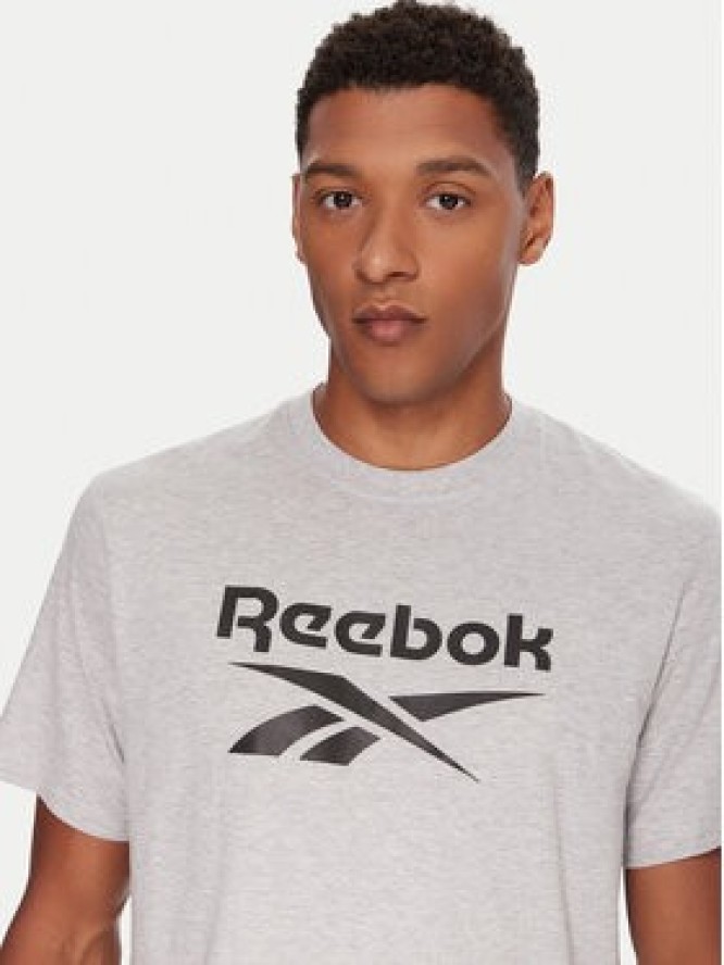 Reebok T-Shirt RK25141CCM Szary Regular Fit