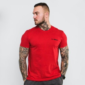 Koszulka męska fitness regular Basic