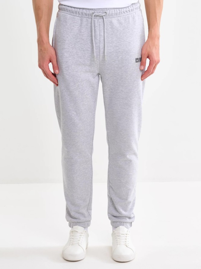 Spodnie męskie dresowe szare Brutus 901