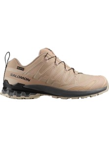 Buty do biegania Salomon XA Pro 3D V9 GTX Beżowe