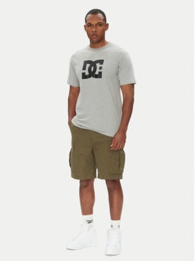 DC Shoes T-Shirt ADYZT05373 Szary Regular Fit