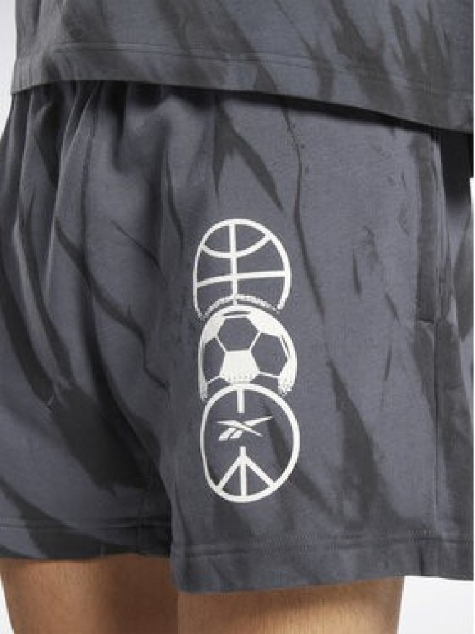 Reebok Szorty sportowe Classics Block Party Shorts HS9179 Szary