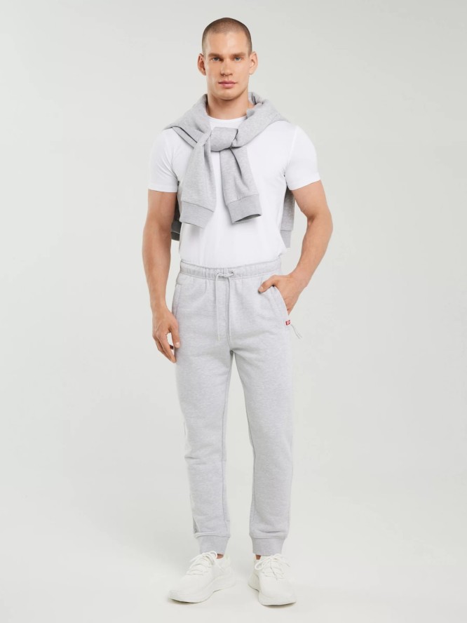 Spodnie męskie dresowe szare Pylyp 901