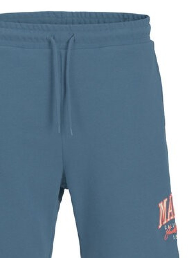 Jack & Jones Szorty sportowe Kane Detroit 12268773 Niebieski Relaxed Fit