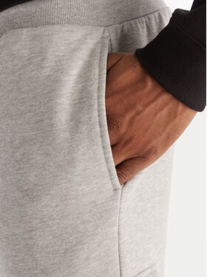 Reebok Spodnie dresowe Wada RK25147CCM Szary Regular Fit