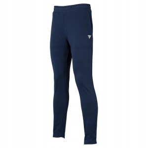 Męskie spodnie tenisowe Tecnifibre Team Terry Pants