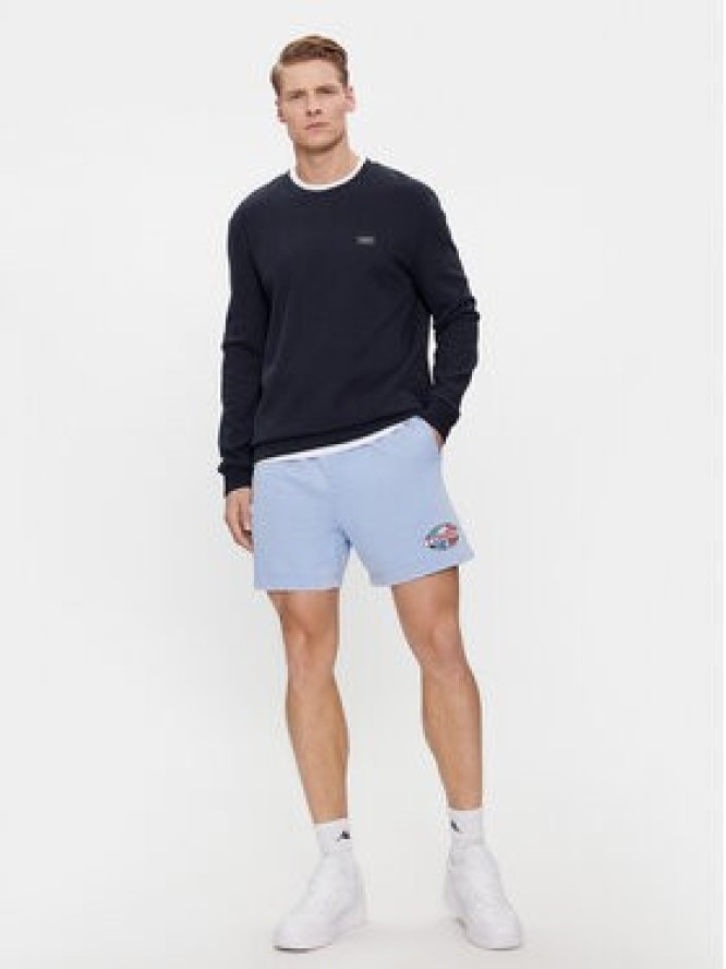 Tommy Jeans Szorty sportowe Tjm Arch Graphic Beach Short Ext DM0DM19167 Niebieski Regular Fit