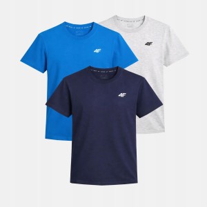 KOMPLET KOSZULEK MĘSKICH 4F ZESTAW 3PAK T-SHIRT TTSHM3341