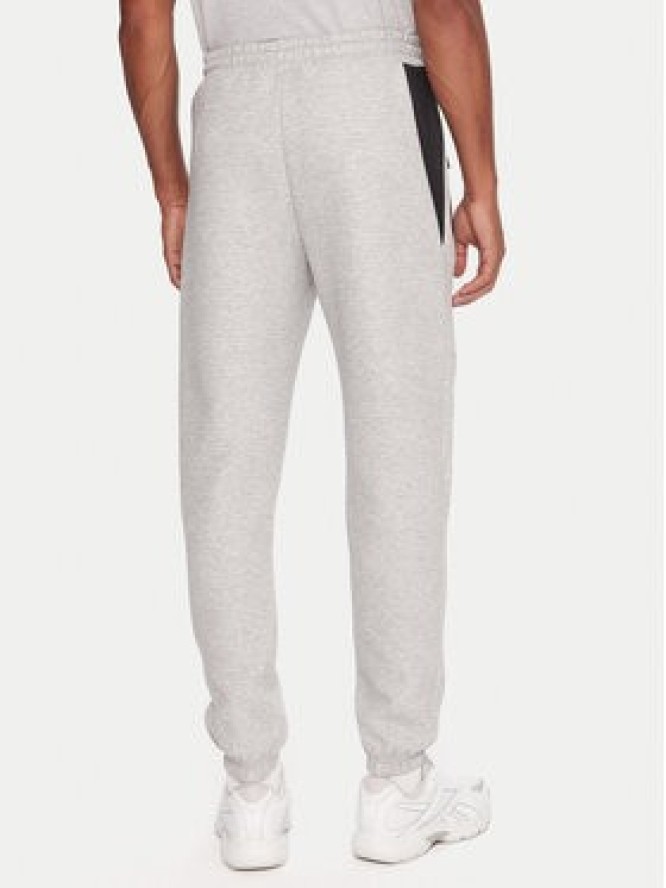Reebok Spodnie dresowe RK25145CCM Szary Regular Fit