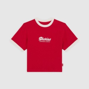 Koszulka Dickies Lewistown Ringer angielska czerwień