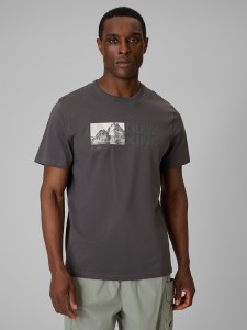 4F T-shirt regular z nadrukiem męski - szary XL