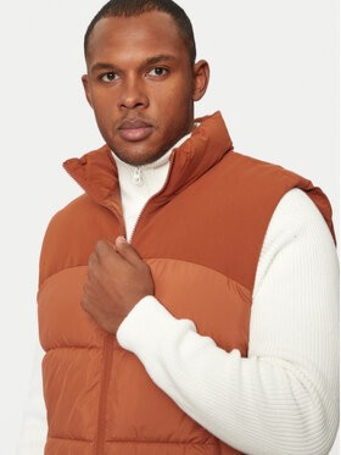 Jack & Jones Bezrękawnik Moon 12256860 Brązowy Regular Fit