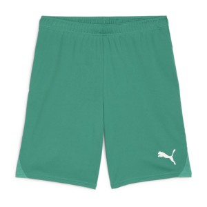 Szorty Puma TeamGoal