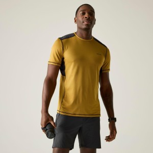 Męska koszulka z krótkim rękawem Virda Active Mesh T-shirt